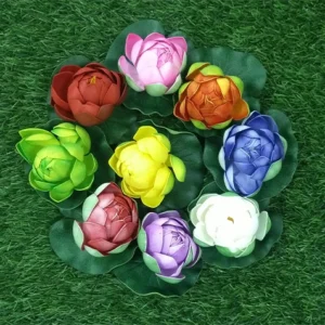 Lotus - D1