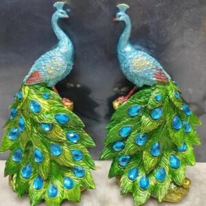 Peacock - P1c