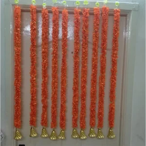 Strings - D31
