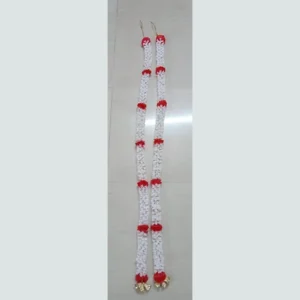 Strings - D81