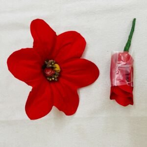 kumkum, Turmeric Flower